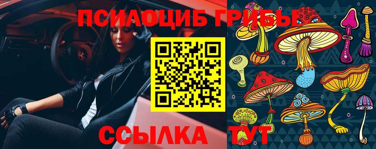 Галлюциногенные грибы прущие грибы  Вход с VPN  Всеволожск 